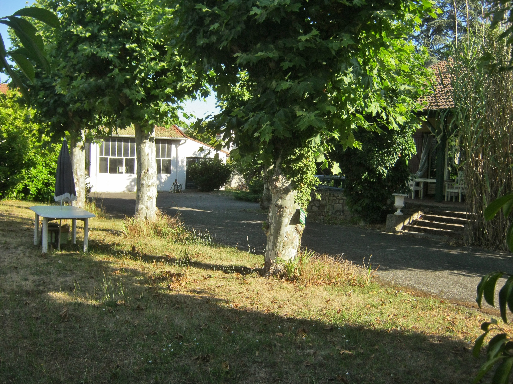 SAVIGNEUX